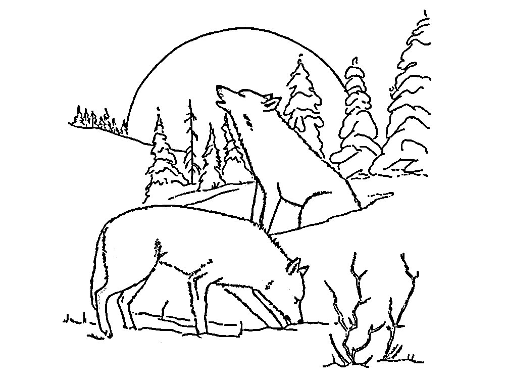 Печатайте и раскрашивайте детские картинки с волками
