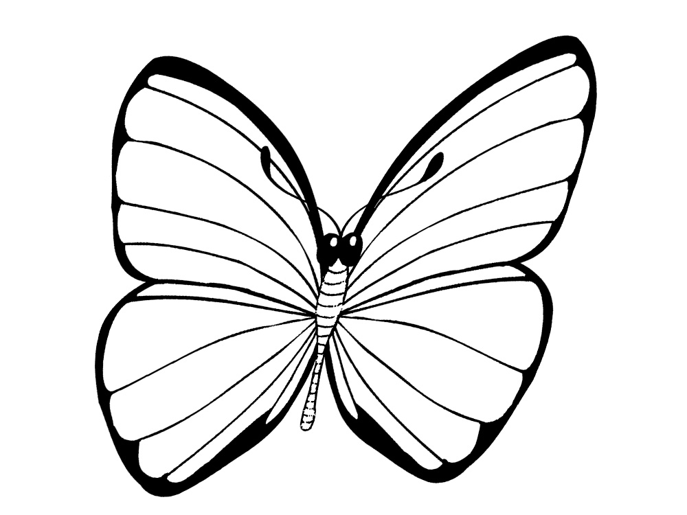 Детские черно-белые картинки и раскраски бабочки