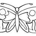 Бабочка расправила крылышки. Раскраски для детей с бабочками.