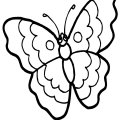 Бабочка-красавица с ажурными крылышками.