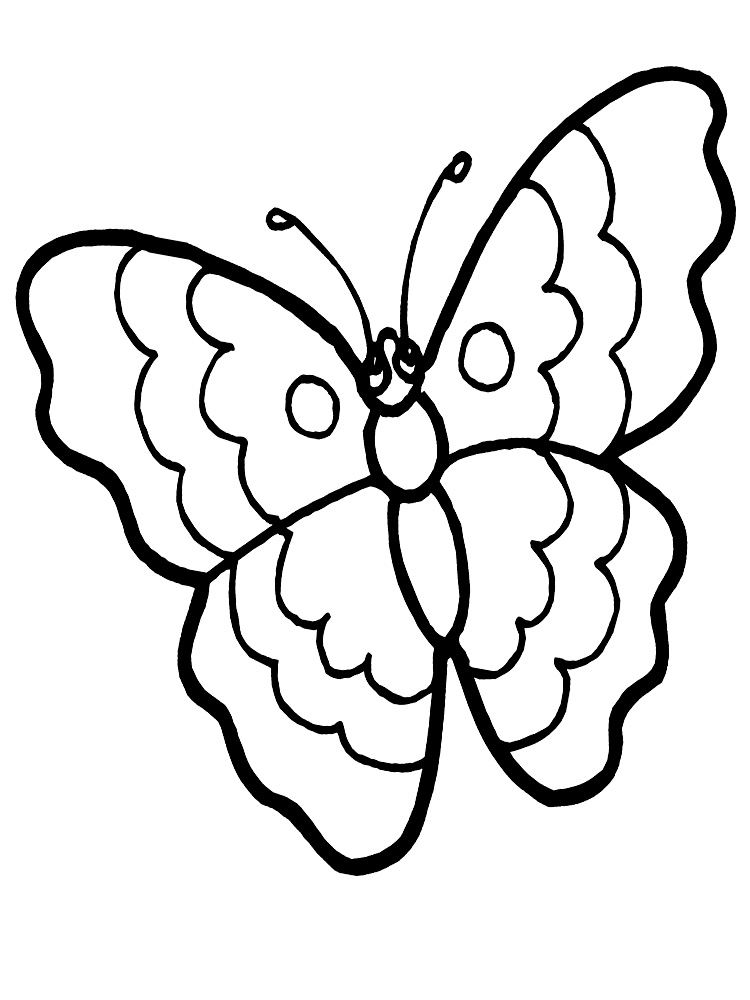 Бабочка-красавица с ажурными крылышками.