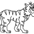 Злой и хитрый хищник - тигр. Детские раскраски с животными.