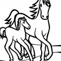 Черно-белые картинки с лошадьми для малышей