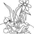 Кузнечик отдыхает. Раскраски для детей с пчелкой Майей.