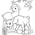 Симпатичные козлята. Детские раскраски про животных с фермы.