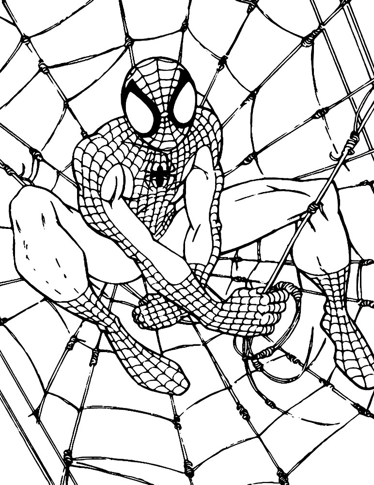 Качайте и печатайте раскраски с Человеком пауком