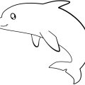 Грациозный дельфин. Раскраски для детей с дельфинами.