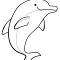 Красавец - дельфин мило танцует на воде.