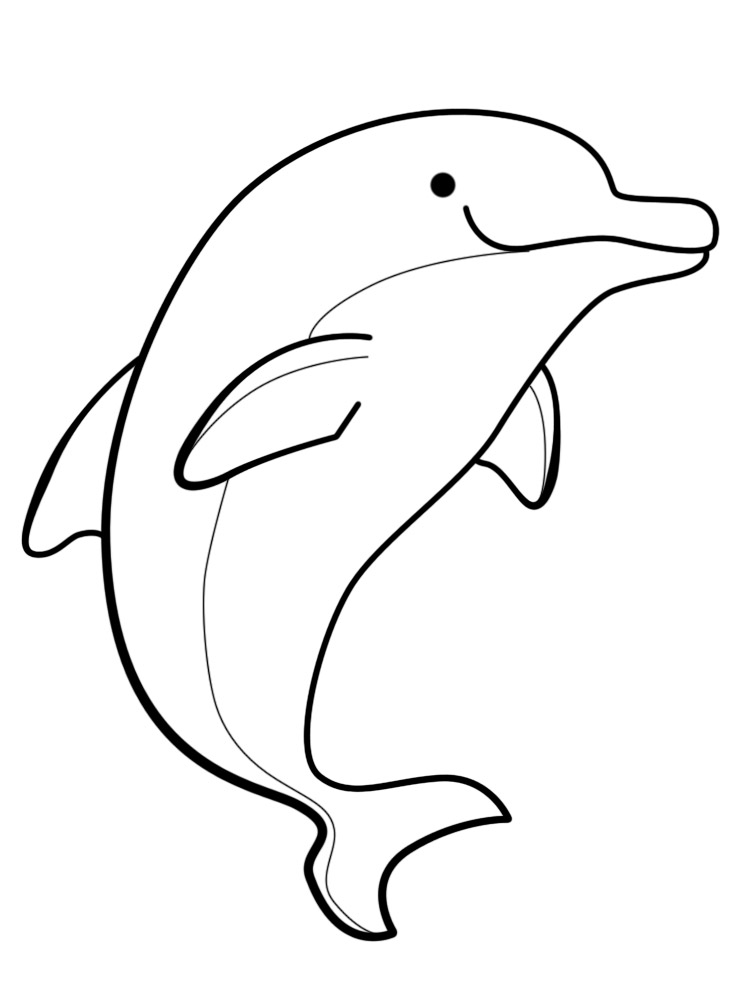 Красавец - дельфин мило танцует на воде.