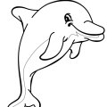 Проказник - дельфин что-то задумал. Раскраски для мальчиков и девочек с дельфинами.
