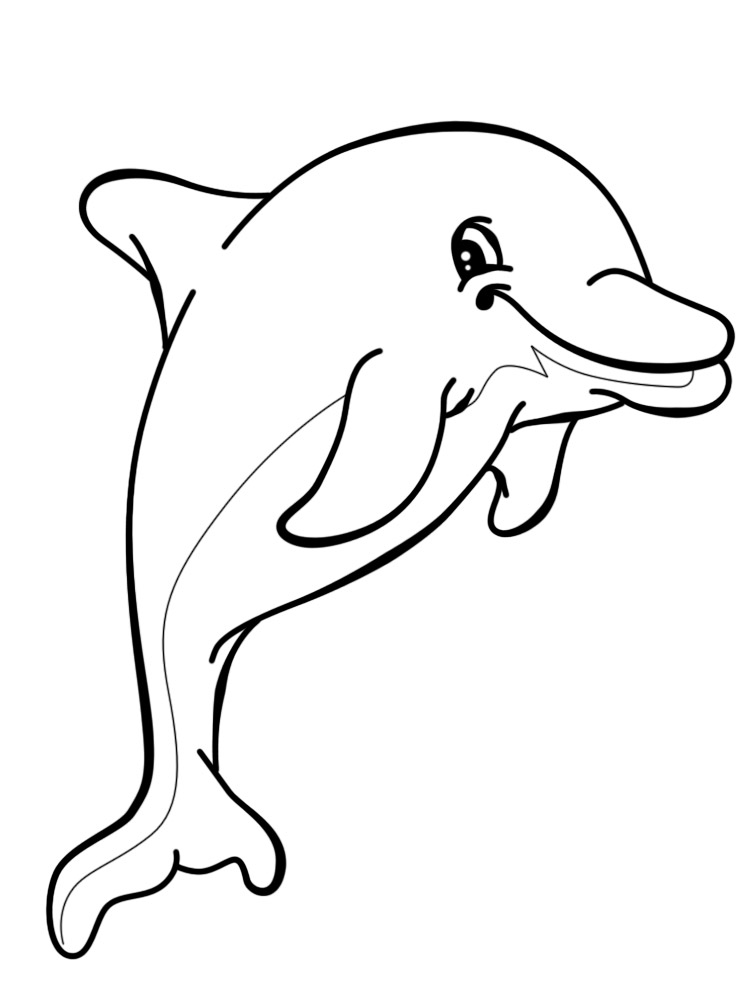 Проказник - дельфин что-то задумал. Раскраски для мальчиков и девочек с дельфинами.