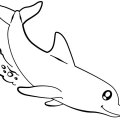 Дельфин смело ныряет за едой на дно морское.