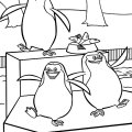 Пингвины на картинках для детского творчества