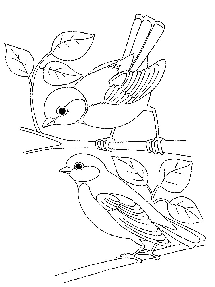 Рисунки с птицами для детского творчества