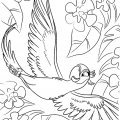 Красивый попугай летит над лесом. Раскраски для мальчиков и девочек с Рио.