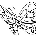 Детские раскраски с бабочками
