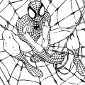Качайте и печатайте раскраски с Человеком пауком
